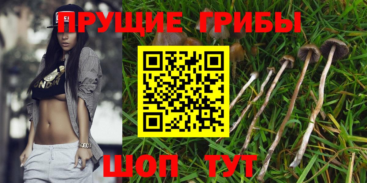 Галлюциногенные грибы MAGIC MUSHROOMS  Вход с VPN  Анапа 